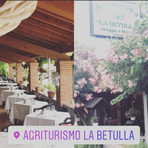 Отель Agriturismo La Betulla  Бреццо-Ді-Бедеро